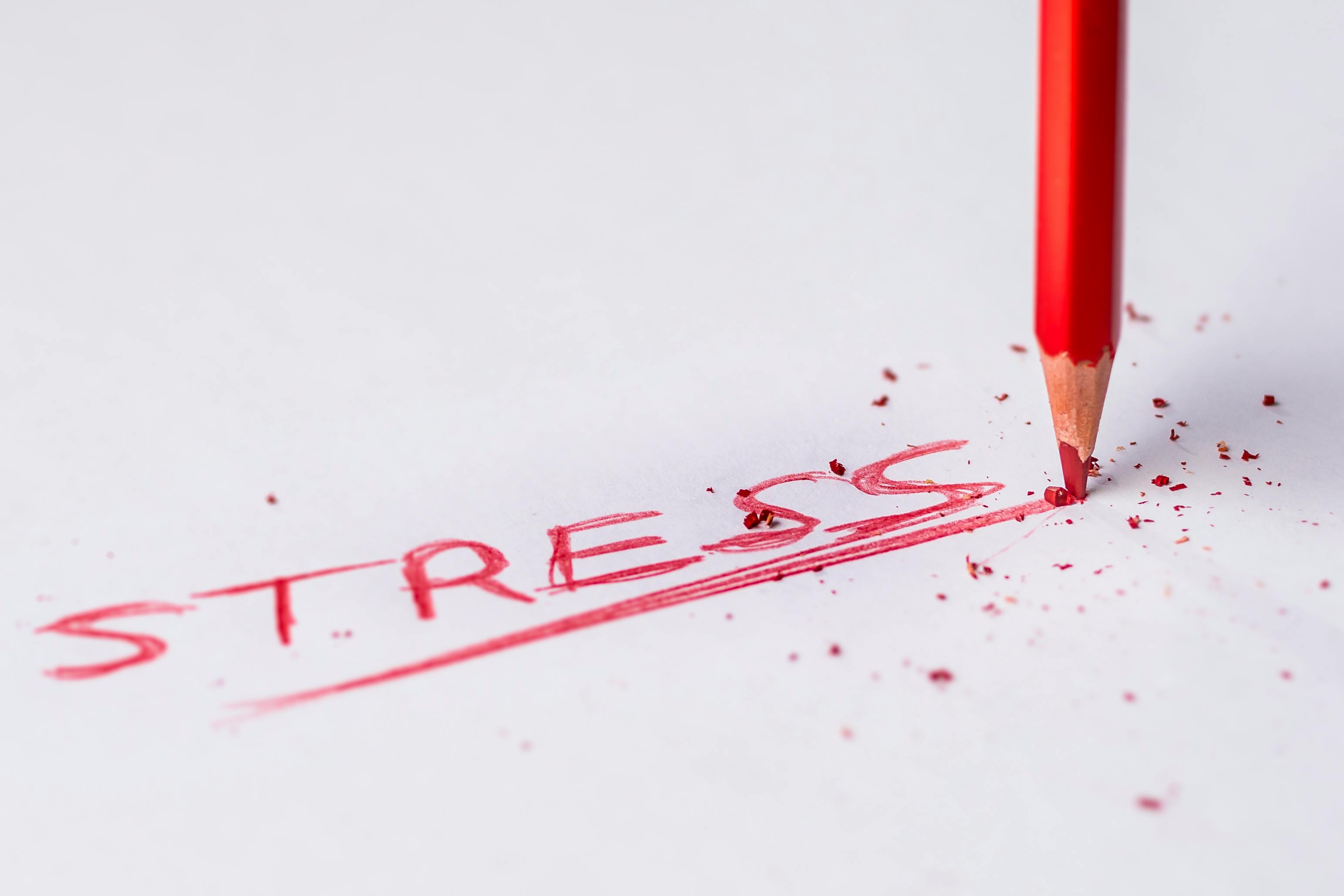 How to Handle Financial Stress and Anxiety